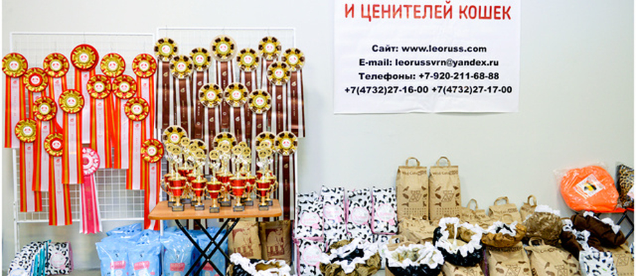 Парад Чемпионов -  2015