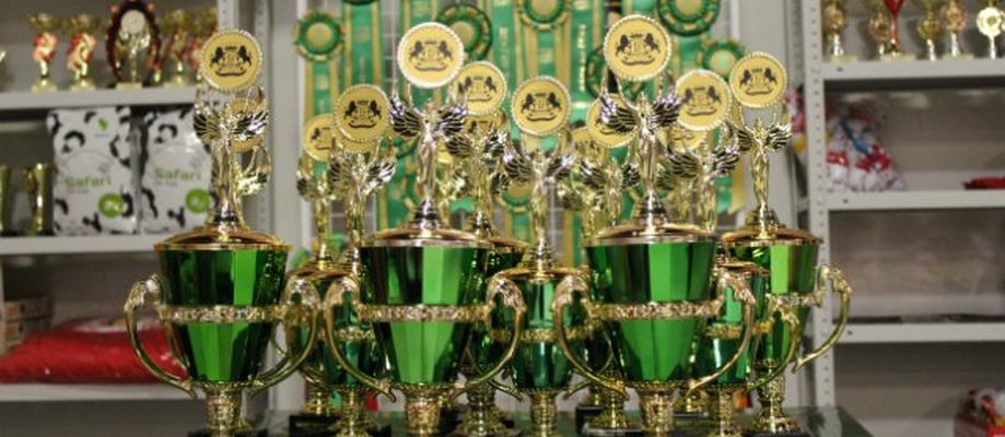 Кубок Leoruss - 2014
