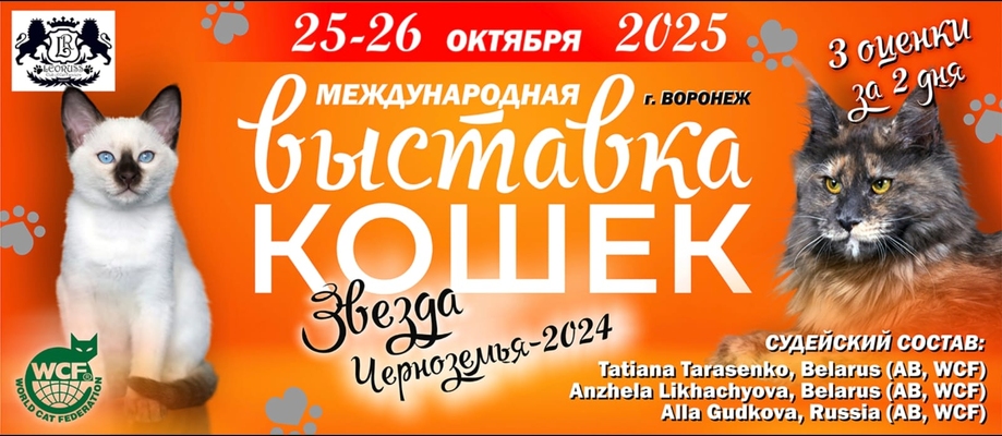 Звезда черноземья