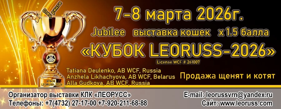 Кубок LEORUSS - 2026