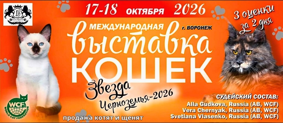 Звезда черноземья