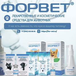 01 Форвет